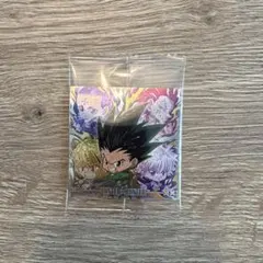 HUNTER×HUNTER シール×ウエハースvol.7 シークレット