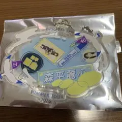 田村真佑 乃木坂46 真夏の全国ツアー2026 A賞キーホルダー 横浜 - メルカリ