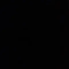 おぐぐん様専用