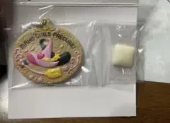 プリキュアクッキーチャームコット2 魔法使いプリキュア！モチーフ