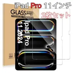 iPad Pro 11インチ 第5世代 ガラスフィルム 高硬度9H 2024年
