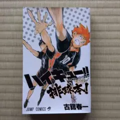 ハイキュー!! コンプリートガイドブック 排球本!