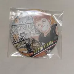ハイキュー コレクション缶バッジ MEMORIES 日向翔陽 Vリーグ