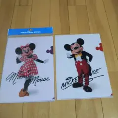 ディズニーランド クリアファイル  ディズニー 4枚