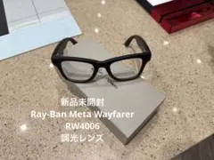 【新品未開封】Ray-Ban Meta Wayfarer RW4006 調光