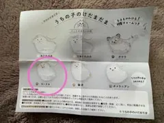 うちの子のけだまだま　犬