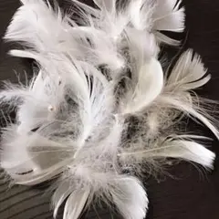 半分パール付き꒰ঌフェザーシャワー໒꒱100枚