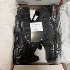 Nike air max plus triple black