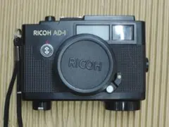 Item thumbnail for item 424db4f2-df0c-4301-8a4c-bd1c788ba4fe