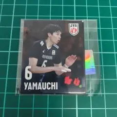 山内晶大 グッズ RG67 山内晶大 (レギュラーカード) 】 バレーボール男子日本代表 2024