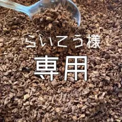 らいてう様専用ページ✩︎⡱