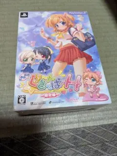 お掃除戦隊くりーんきーぱーH 限定版