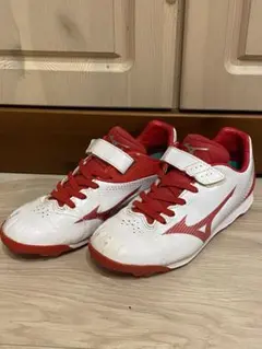 Item thumbnail for item 86edb0fb-2106-487a-b276-f95a252ca2e6