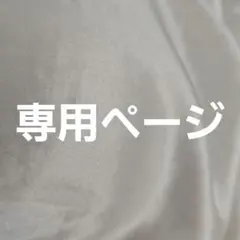 ⚠専用ページです⚠