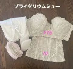 ブライダリウムミュー　ブライダルインナー3点セット　64 D70 M 2026年最新】ブライダルミュー インナーの人気アイテム - メルカリ