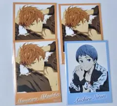 Free! フォトカード 御子柴百太郎 似鳥愛一郎