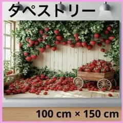 タペストリー 背景布 壁掛け パーティー お祝い インテリア 撮影