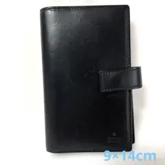 Item thumbnail for item 30331100-7cc2-4054-9695-51fa9efceb95