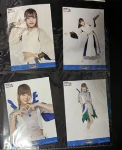 2025年最新】豆柴の大群の人気アイテム - メルカリ