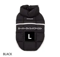 Item thumbnail for item 1e72e39c-85ca-4390-900a-9aa4671ffda6