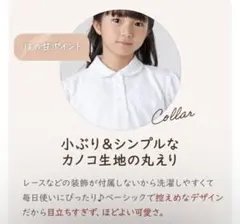 中厚手 受験 フォーマル 小学 中学 丸襟 半袖 ポロシャツ ホワイト 吸水速乾