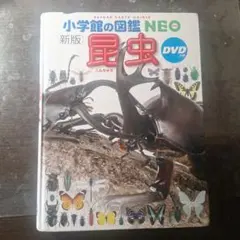 Item thumbnail for item 9362ccbb-f25a-4c17-b4d7-6c98c44bbf85