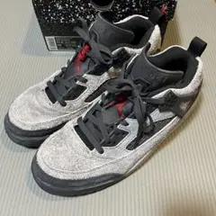 2026年最新】ジョーダン スパイクリーの人気アイテム - メルカリ