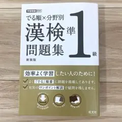 でる順×分野別 漢検問題集 準1級のサムネイル