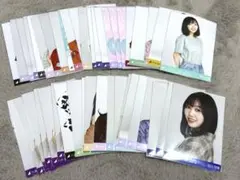 乃木坂生写真まとめ売り まとめ売り 乃木坂46 Same numbers 封入 生写真 4種 コンプ