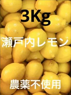 ❶国産瀬戸内レモン3Kgのサムネイル