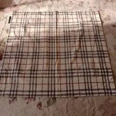 Item thumbnail for item 951fb348-71dc-4934-9ece-65accde341e6