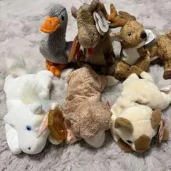 Item thumbnail for item 06e6bfa7-d305-465a-bd79-5a9963c9c78a