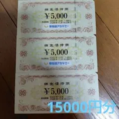 早稲田アカデミー 株主優待券 15000円分