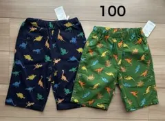 【新品】男の子 恐竜 ハーフパンツ 110㎝ 青 緑