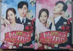 韓国ドラマ キム秘書はいったいなぜ？ DVD-BOX 1＆2 セット