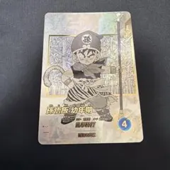 アドバンスパック　孫悟飯 幼年期　パラレル　APT007