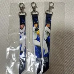 埼玉西武ライオンズ