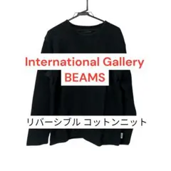 International Gallery BEAMS リバーシブル カットソー