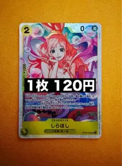 ★24h以内発送　しらほし　OP12-102