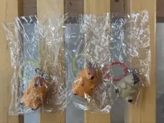 マーモットのもっとっと ここだよますこっと めじるしアクセサリー