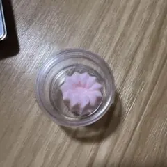 スクイズ カヌレ