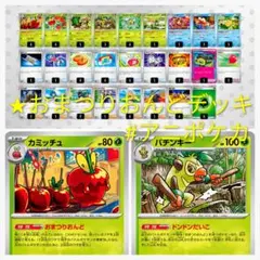 【おまつりおんど】構築済みデッキ