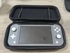 Nintendo Switch Lite グレー 専用ケース付き