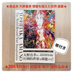 ★美品本★天野喜孝 想像を超えた世界 画集 2014.9月発行 初版 希少本