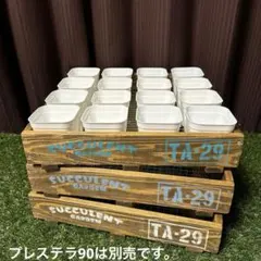 2026年最新】多肉植物トレイ棚の人気アイテム - メルカリ