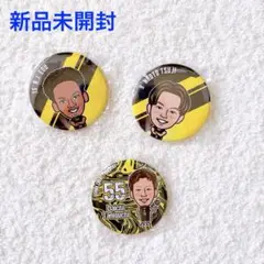 【新品未開封】群馬クレインサンダーズ 缶バッジ
