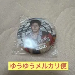 武知海青 缶バッジ ガチャ