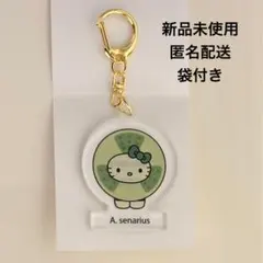 2025年最新】藻類キティの人気アイテム - メルカリ