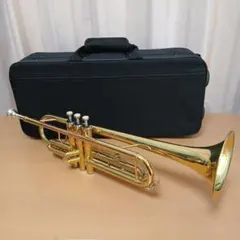 Item thumbnail for item 564deed9-87ff-4da3-88f2-e7debdddaf89