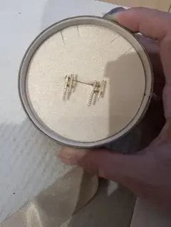 アーカー ピアス(両耳用)